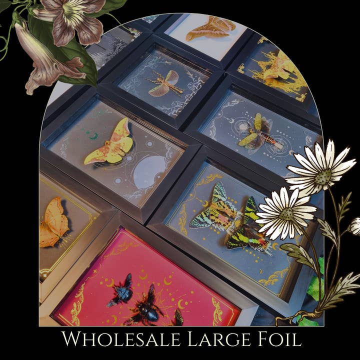 Large Foil Bundle | Entomology | Taxidermy | Oddity | Curio for wholesale by Mellows Delightful Oddities