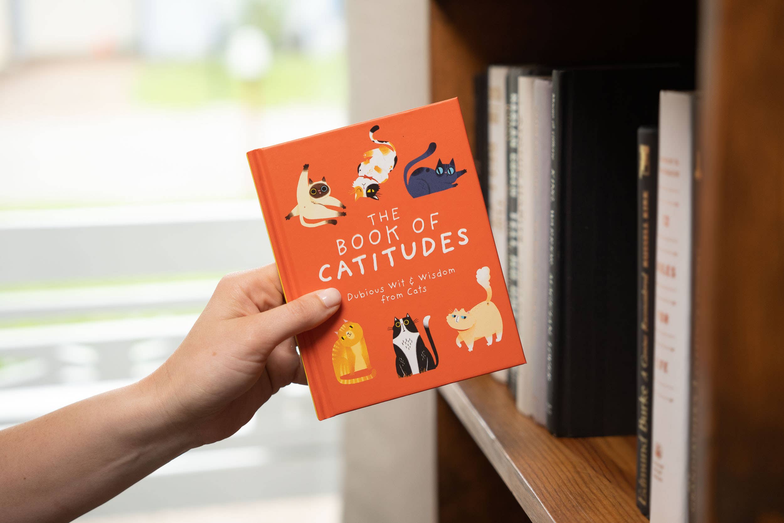 HarperCollins Focus - Wholesale Pets - The Book of Catitudes: Dubious Wit & Wisdom from Cats5