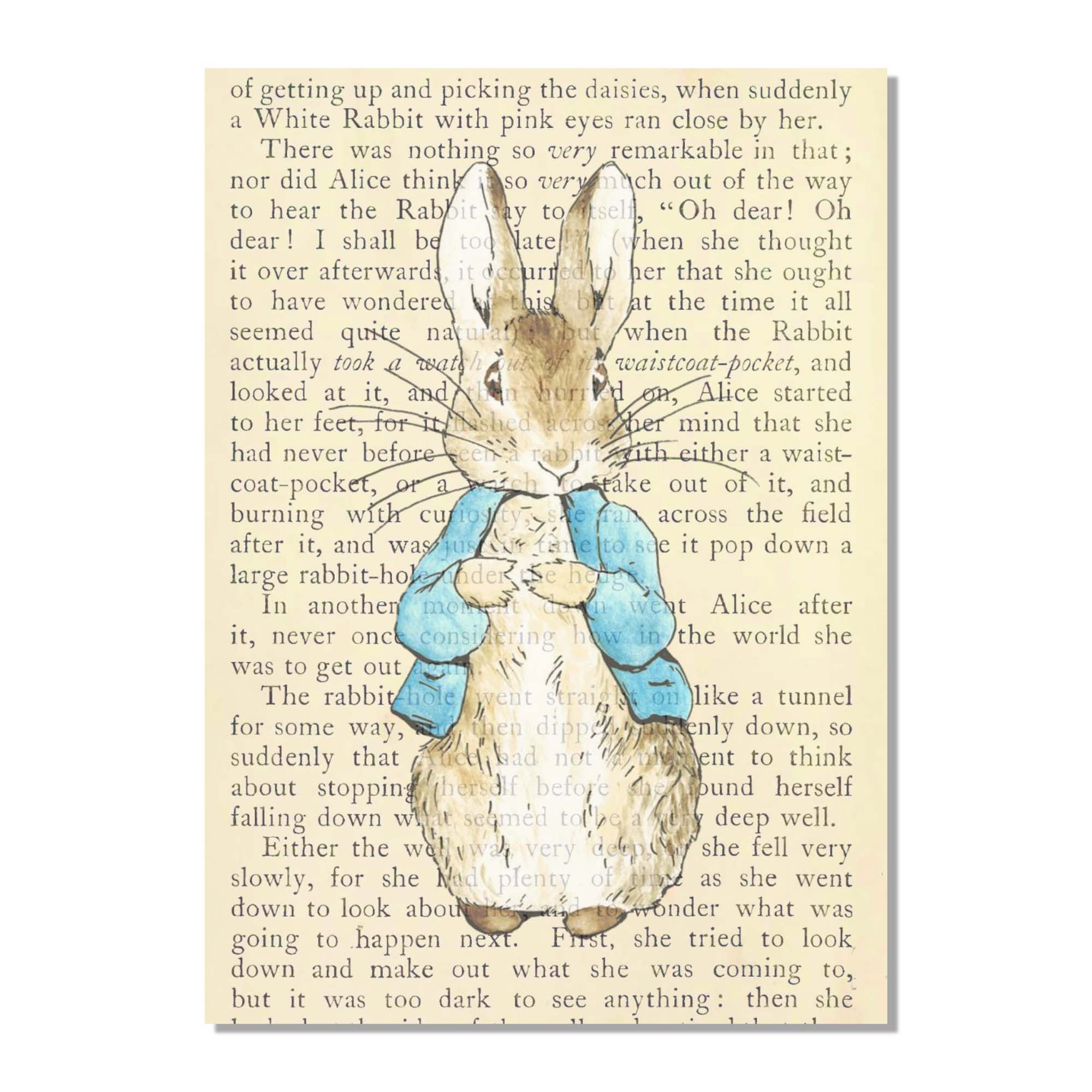Cecelia Rose Book Page Art - Wholesale Art Print - Peter Rabbit0