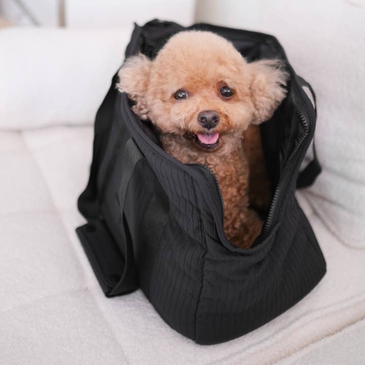 Lambwolf Collective – Caixa de transporte - Cão por atacado – TRANSPORTADORA DE ANIMAIS//CIDADE1