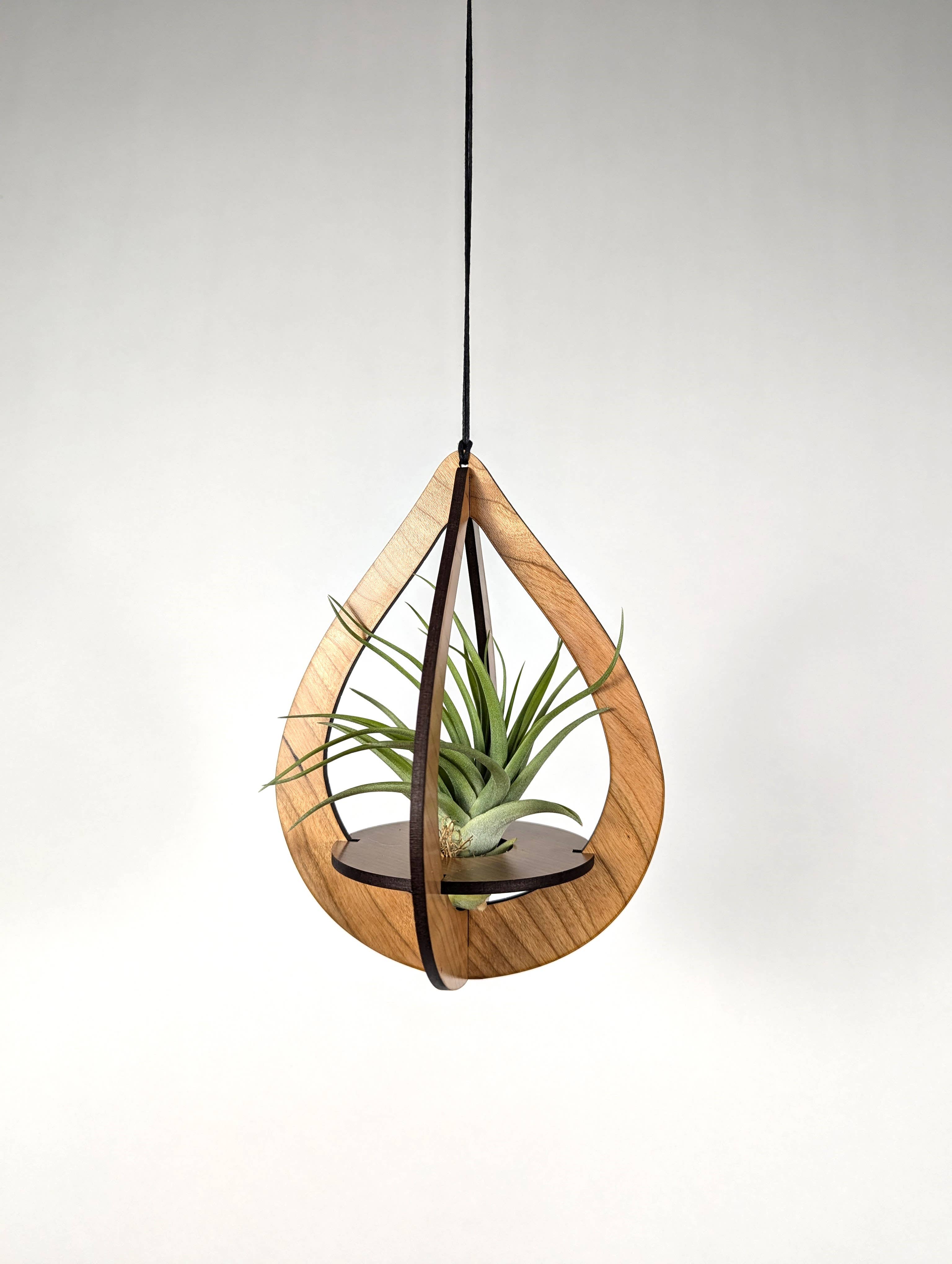 Savvie Studio - Wholesale Hanging Planter - Air Plant Hanger Teardrop Cherry2