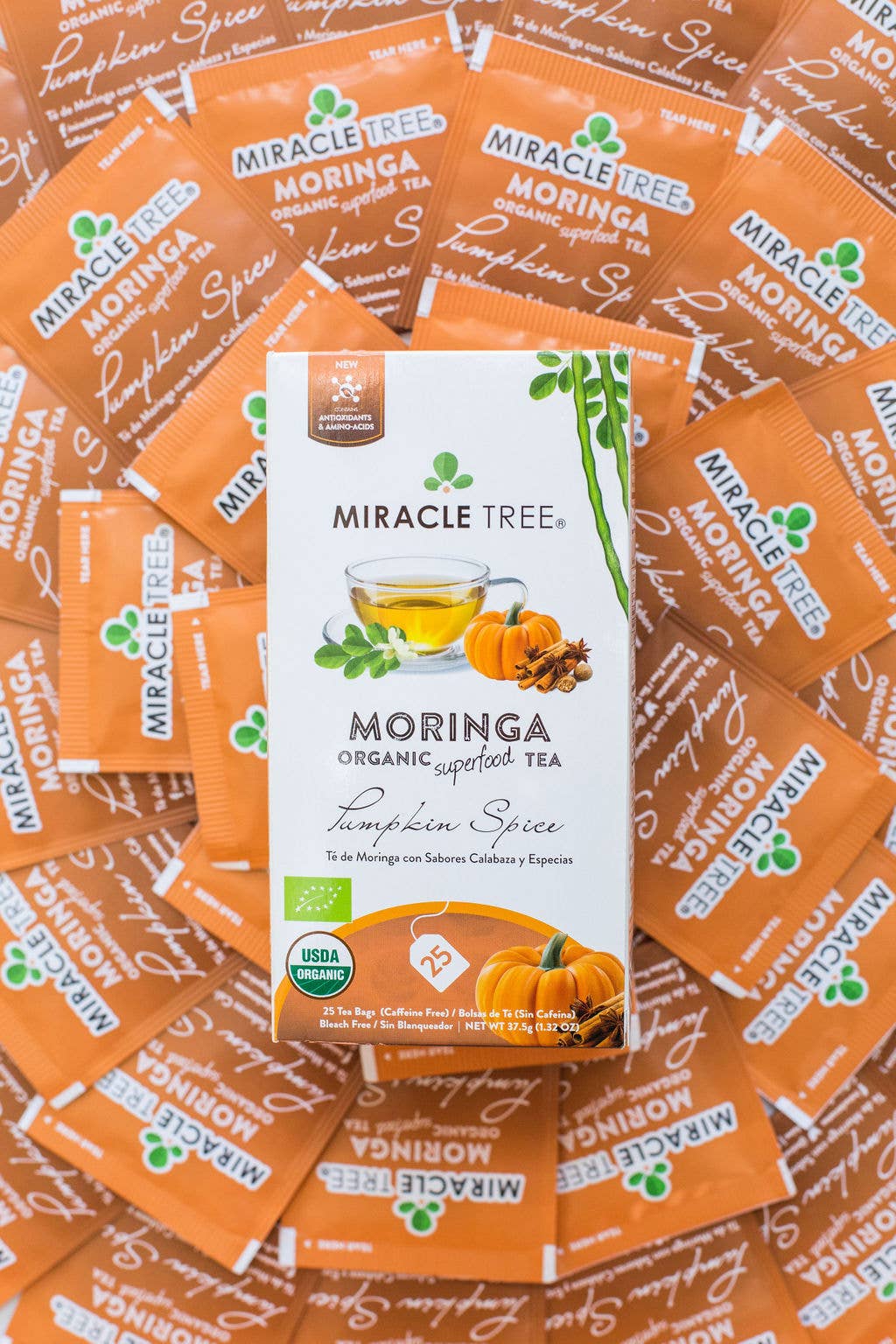 Miracle Tree - Wholesale Tea Bags - Organic Moringa Tea: Pumpkin Spice4