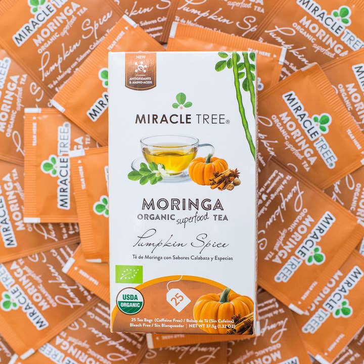 Miracle Tree - Wholesale Tea Bags - Organic Moringa Tea: Pumpkin Spice4