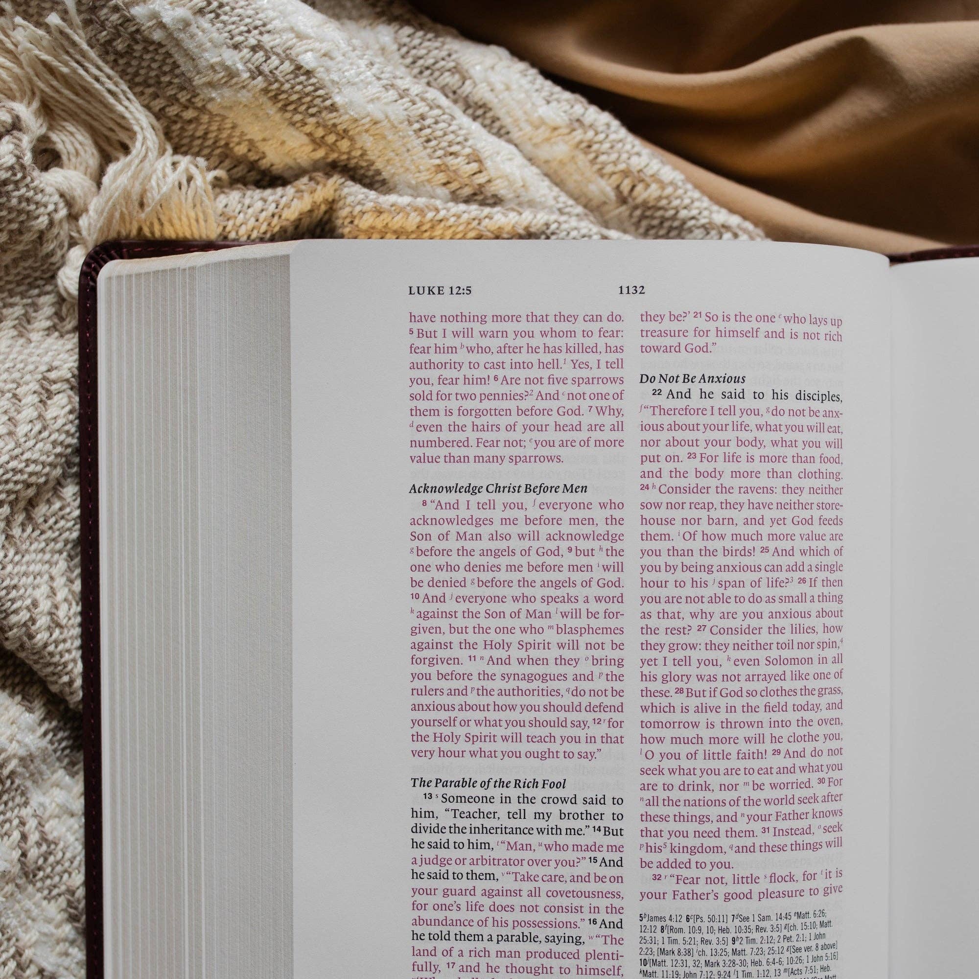 The Daily Grace Co - Wholesale Religion - ESV Wide Margin Reference Bible - John 15:53