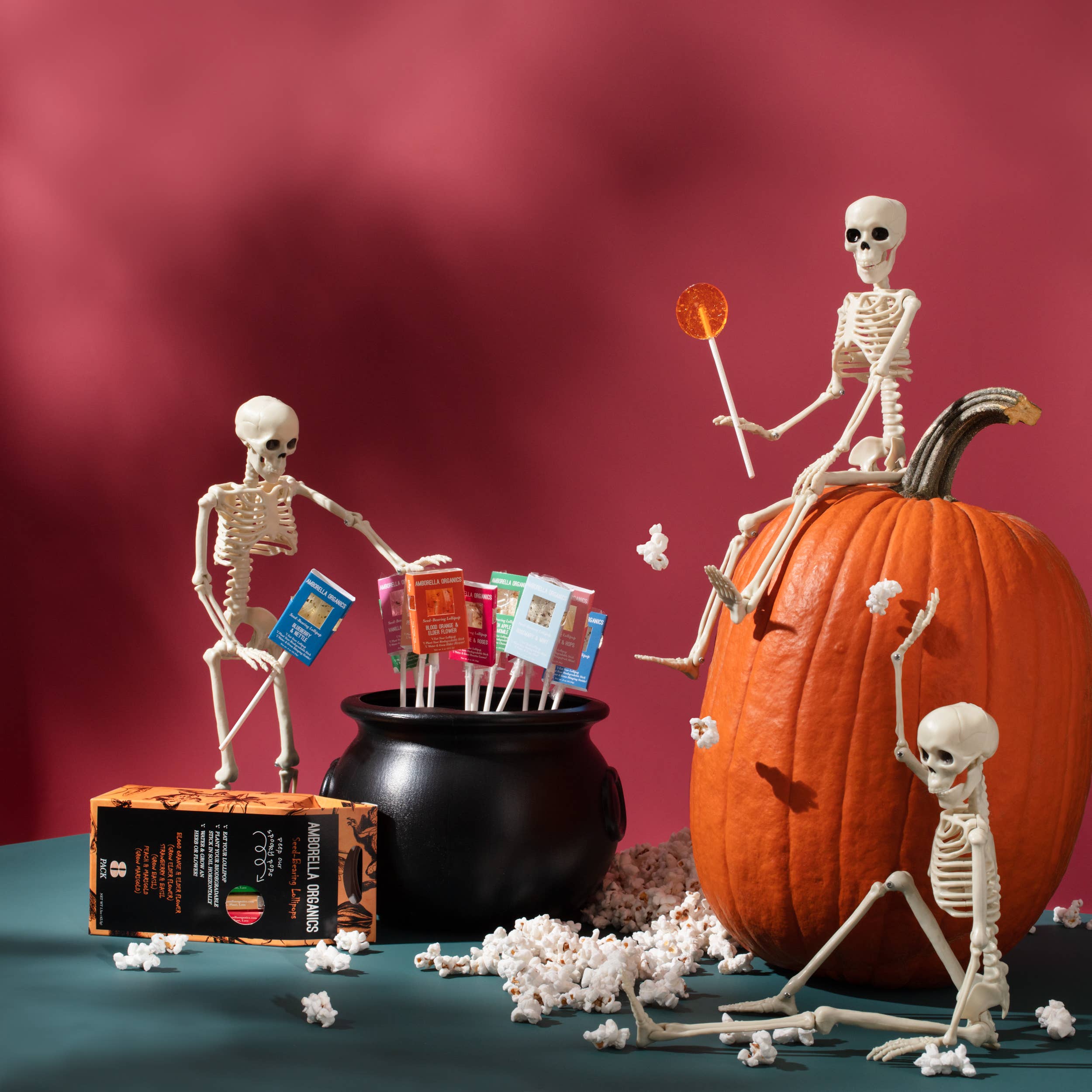 Amborella Organics - Wholesale Lollipop - Halloween Lollipop 8 Pack (Eat, Plant & Grow a Herb/Flower)14