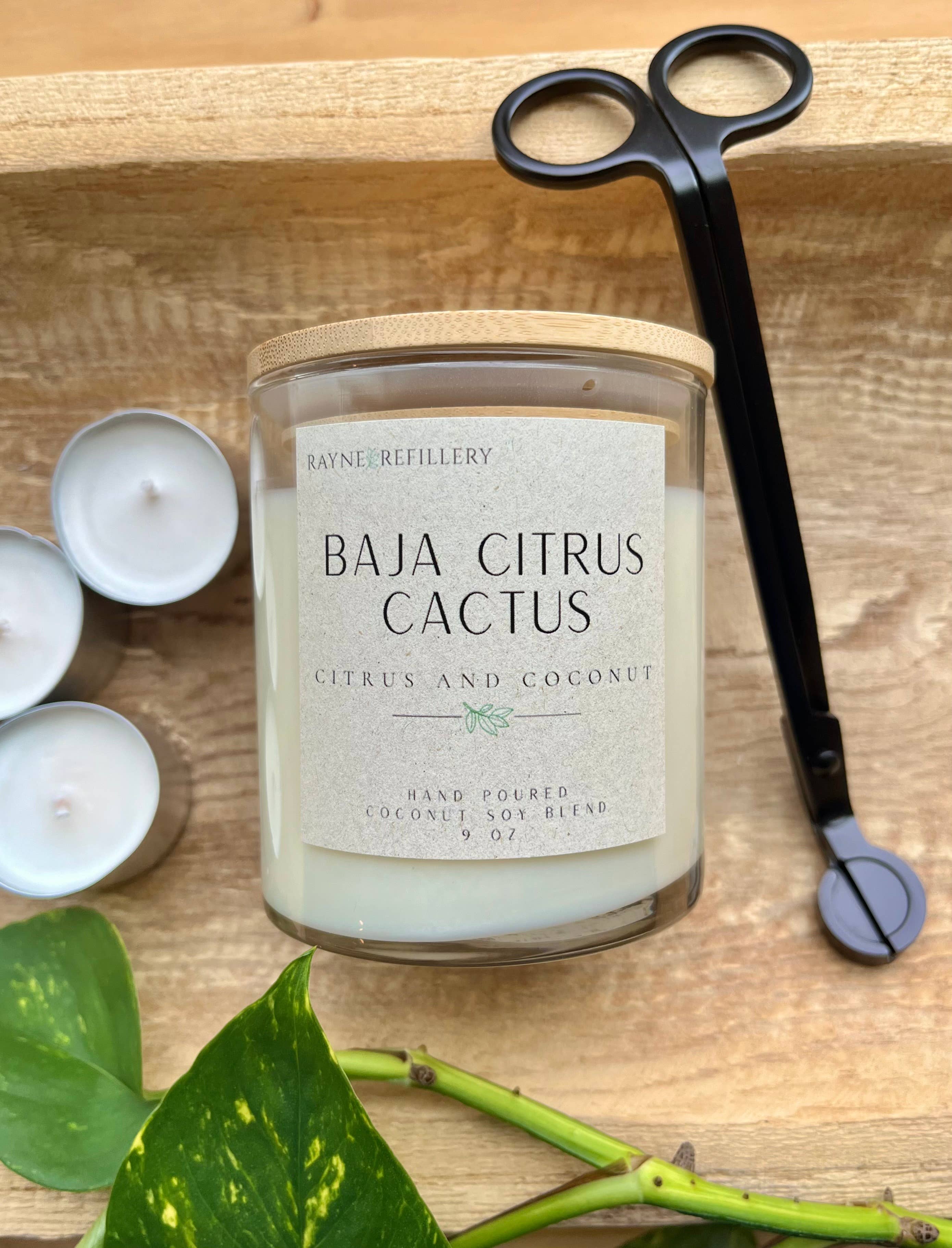 Rayne Refillery - Wholesale Jar/Filled Candle - The Concord Vessel - Coconut Soy Wax Candle14