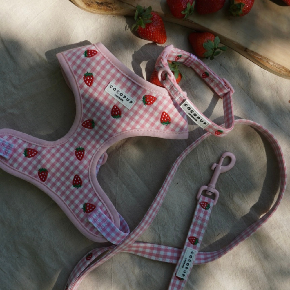Cocopup London – Großhandel Haustierhalsband – Hund – Erdbeer-Picknick-Welpenhalsband4