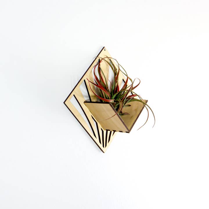 LIGHT RAZOR DESIGN STUDIO - Wholesale Wall planter - Air Plant Holder / Quadrate Wall Hanging Planter 286