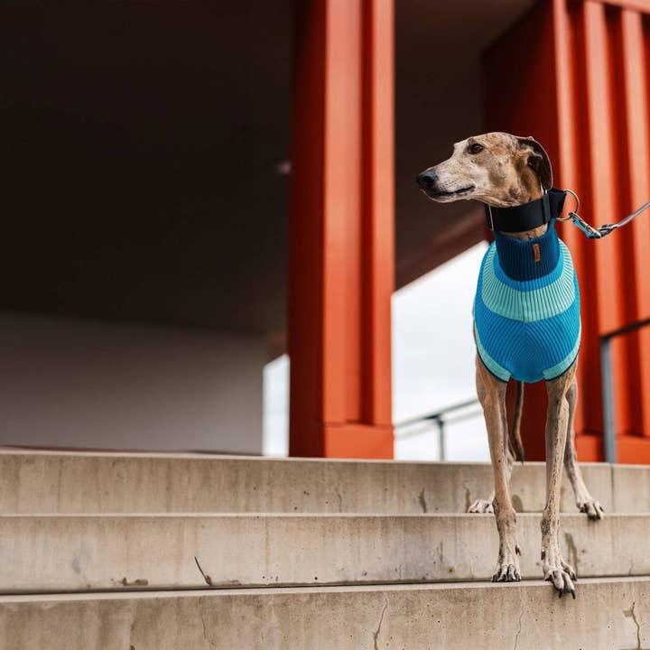 CRYSTAL SKY THE GLOW JUMPER (knitted dog sweater, blue) for wholesale on Faire5