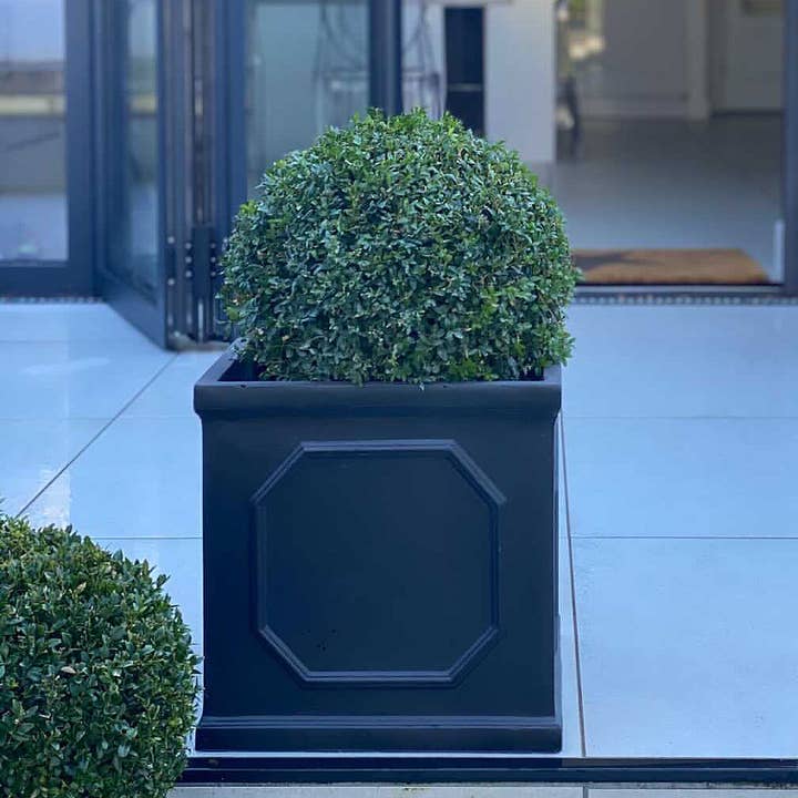 Idealist Lite Fibrestone Planters - Wholesale Planter Box - IDEALIST Faux Lead Chelsea Box Square Light Stone Planter