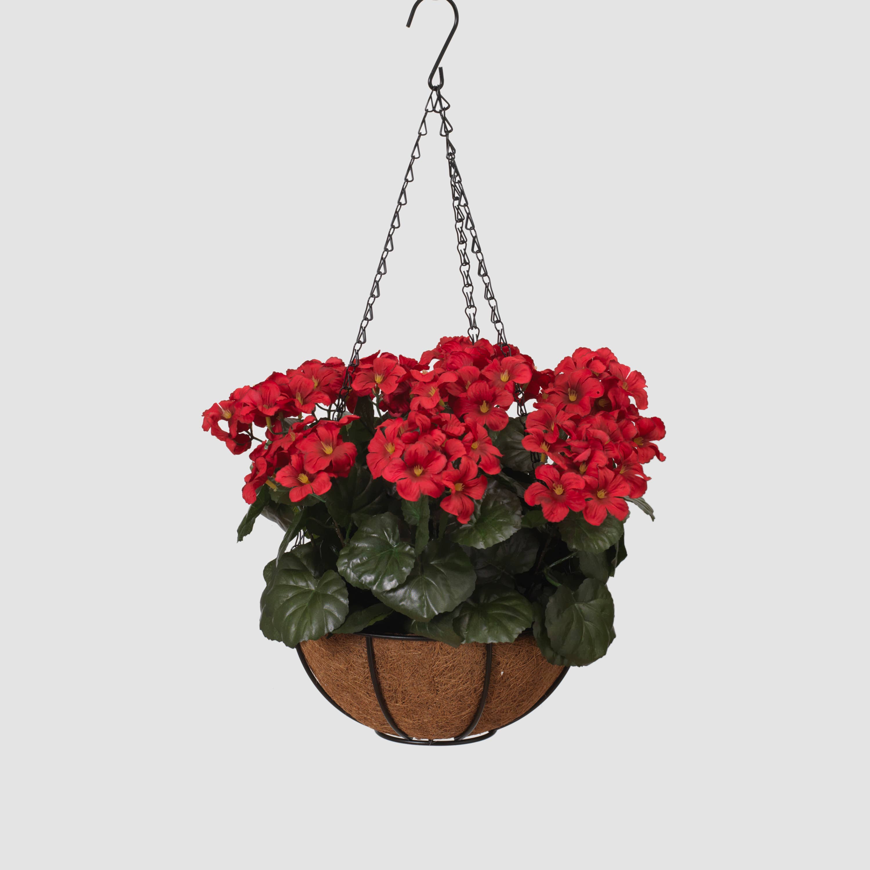 The Gerson Companies - Wholesale Hanging Planter - Discount 16"D Geranium Hanging Basket1
