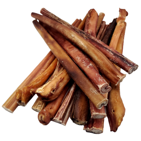 Dibo Pet Foods - Wholesale Pet Treats - Dog - Bully Stick – Low Odor Pizzle – THICK- 12" 2