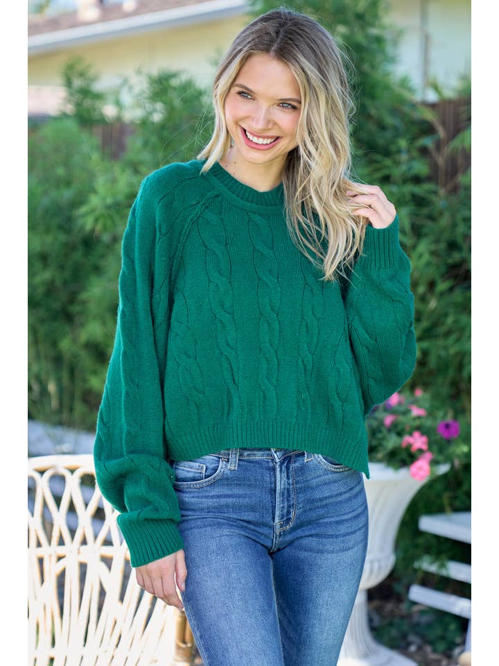 Nicabel - Wholesale Knit Sweater - Women's - Plus raglan sleeve cable knit sweater-PSW94195