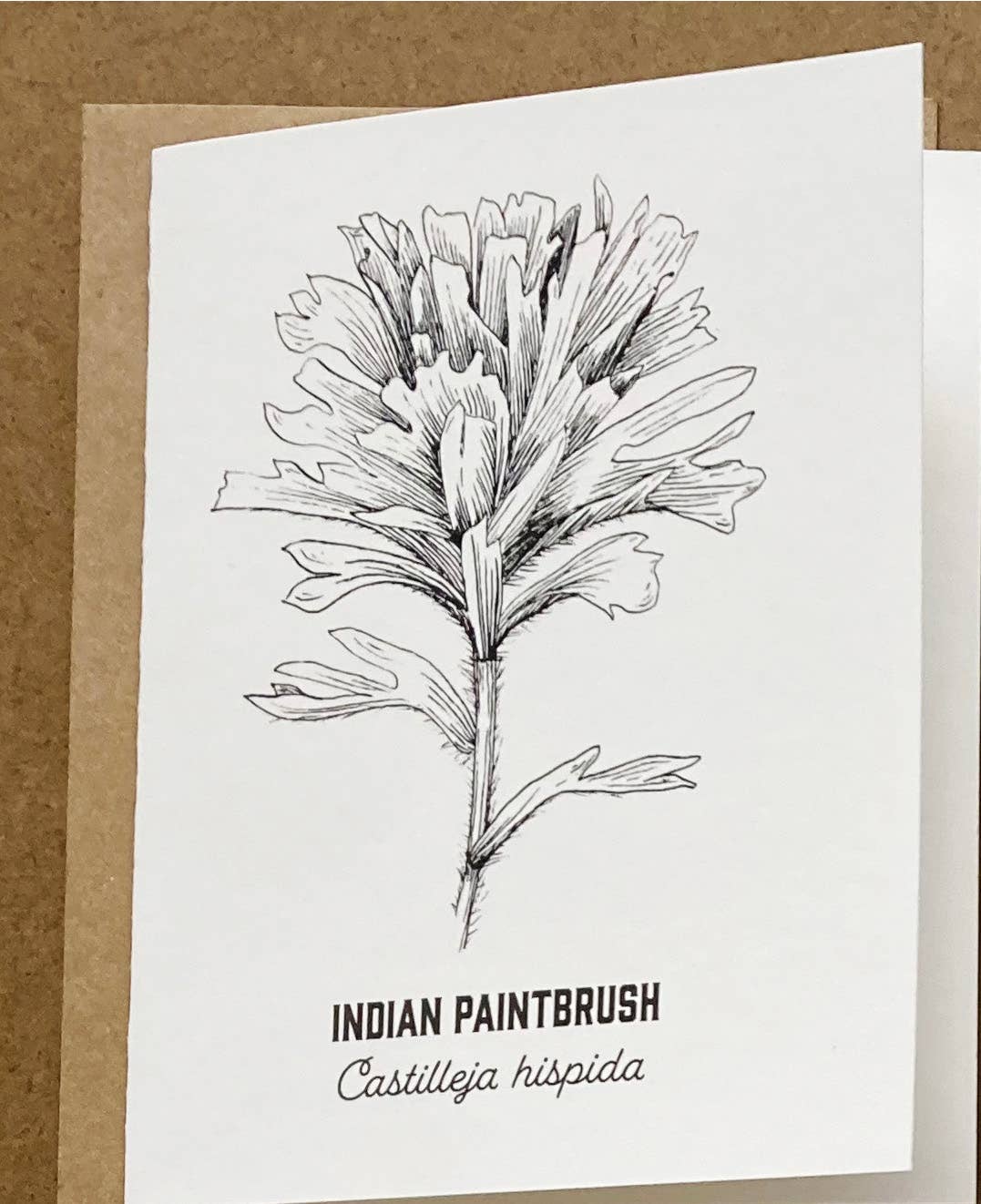 Madrona Press - Wholesale DIY Craft Kit - Watercolor Card Kit - 1 Wildflower Card8