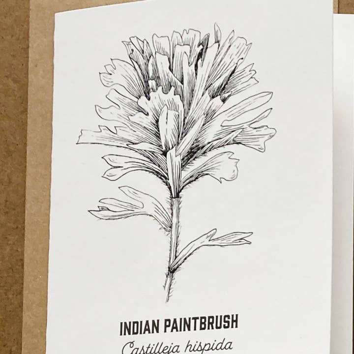 Madrona Press - Wholesale DIY Craft Kit - Watercolor Card Kit - 1 Wildflower Card8