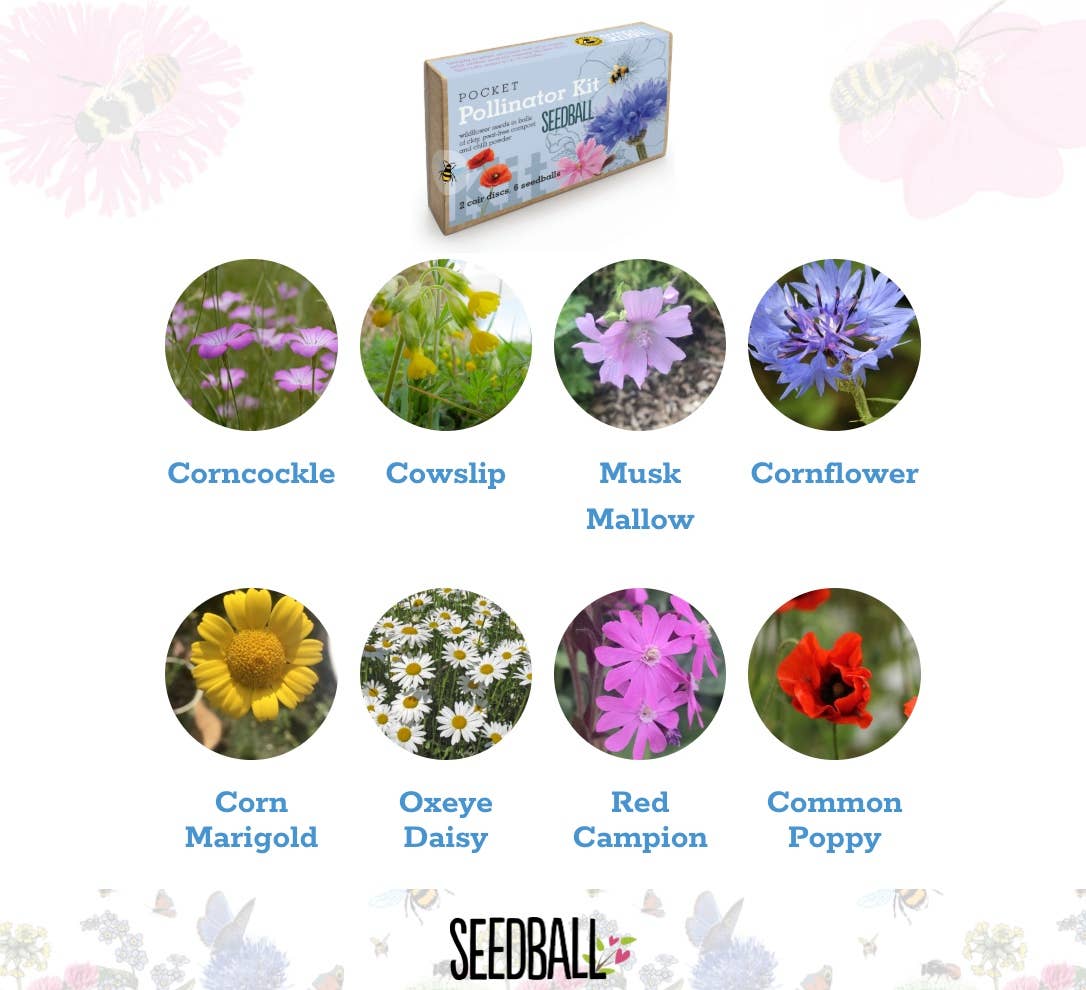 Seedball – wholesale Plant seeds – Pocket Pollinator Kit6