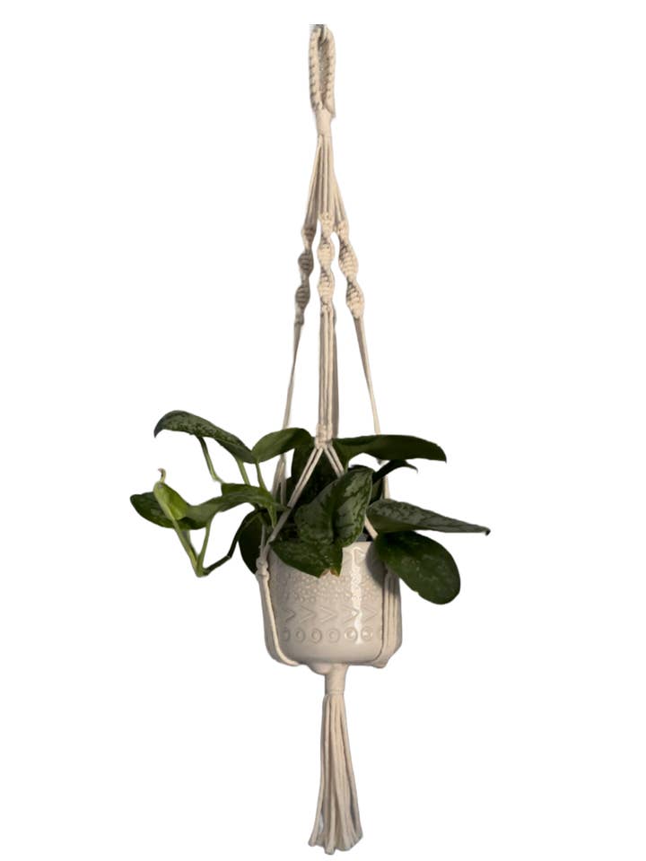 Plant Hanger for wholesale by Reefd Creative Studio