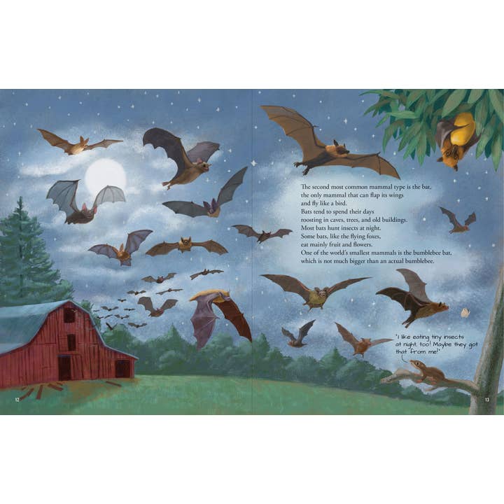 Peter Pauper Press - Wholesale Book - Kids - All the Mammals in the World