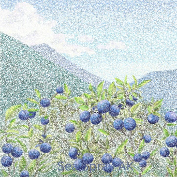 Alaska Blueberries Art Print for wholesale by Sea Spray AK