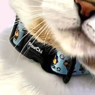 Colar FOODIECORN por atacado de PawChi