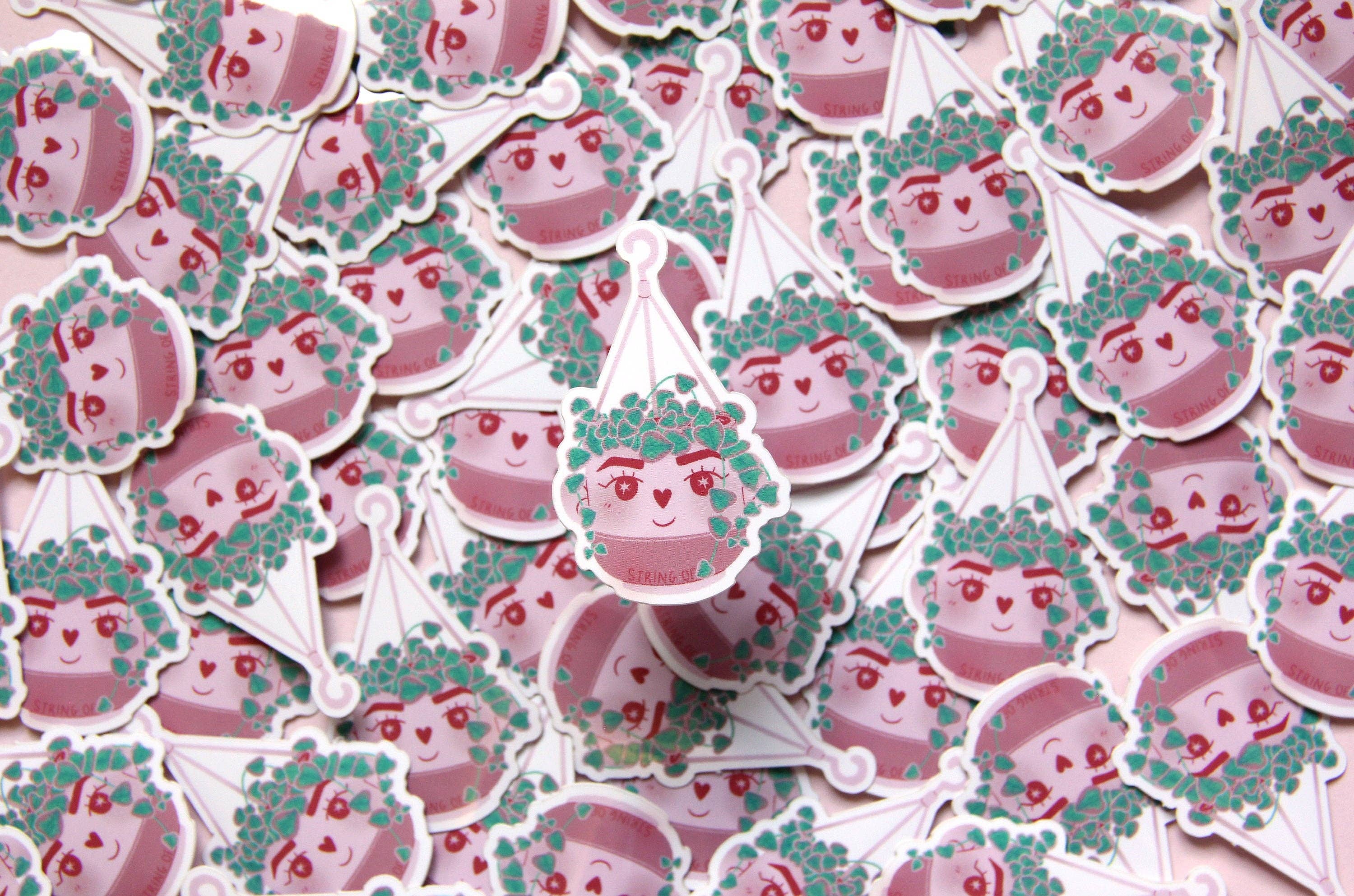 lu bremer design - Wholesale Sticker - variegated string of hearts plant sticker1