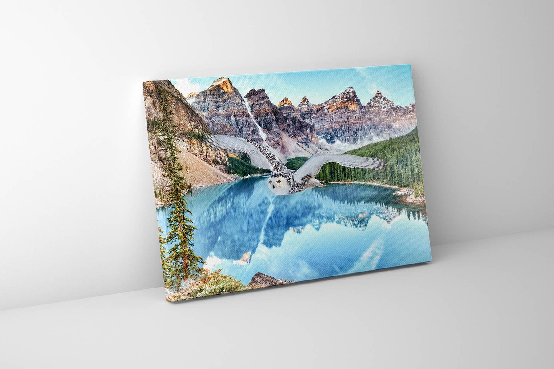 GTA ART - Vendita all'ingrosso Stampa artistica - Arte della fauna selvatica su tela - Gufo delle nevi a Banff - Opera d'arte stampata0