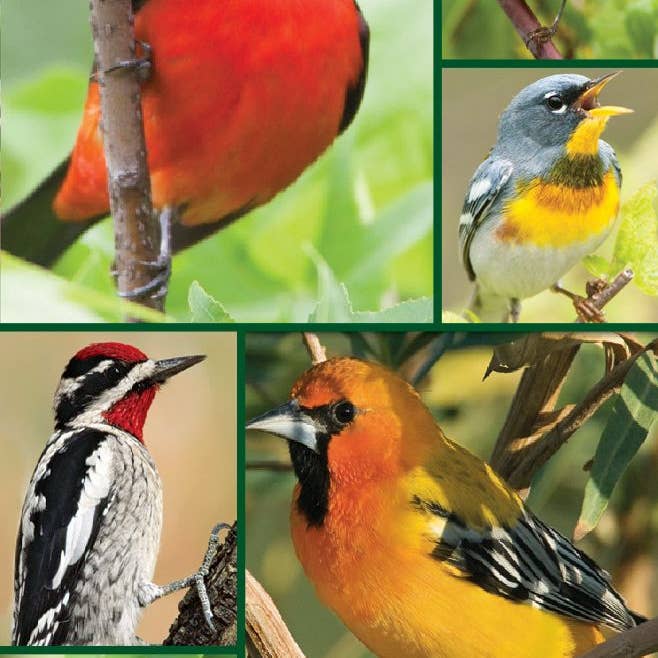 Songbirds Bridge Tally Sheets Playing Cards Accessory for wholesale by Springbok Puzzle