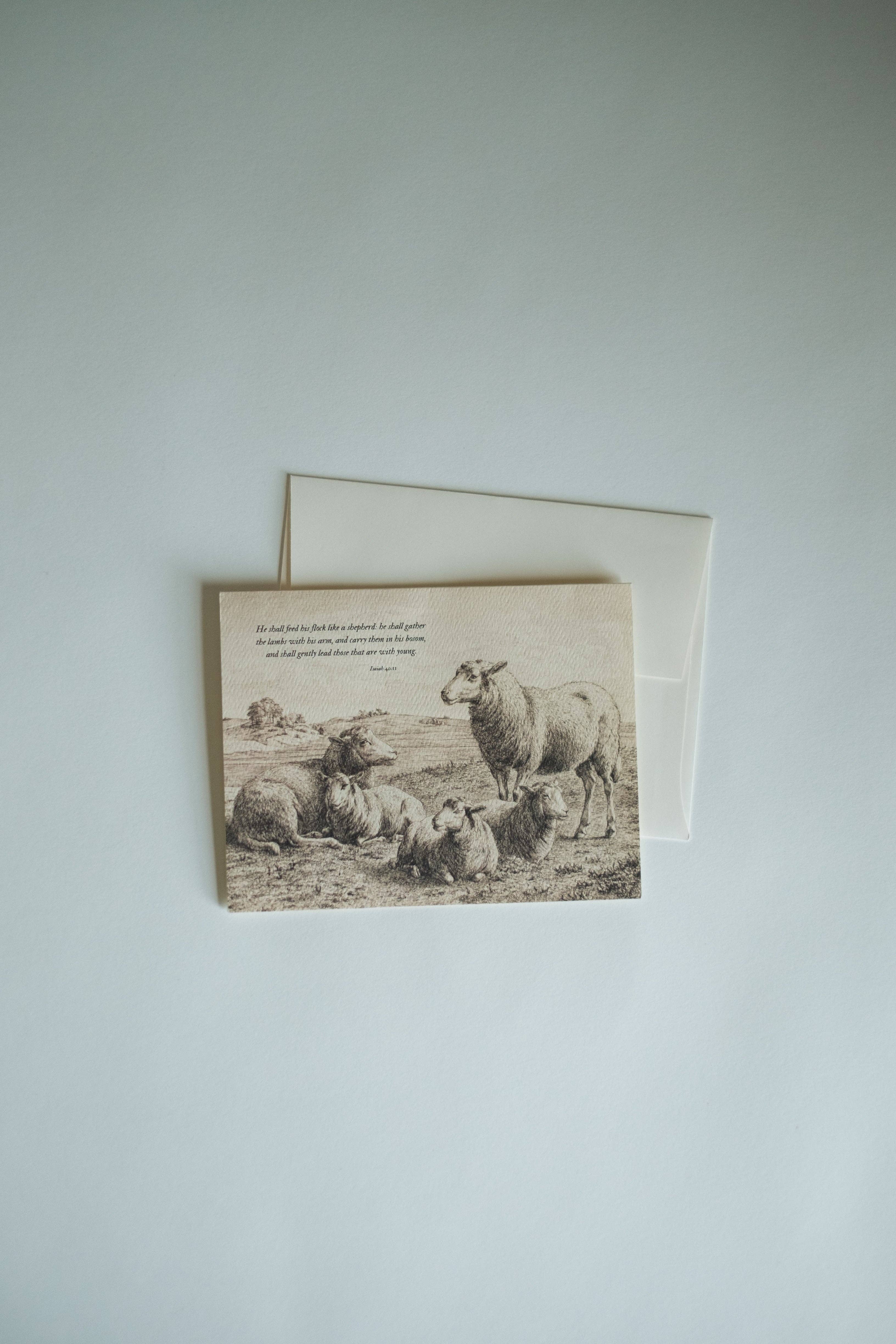 These Stones - Wholesale Stationery/Notecard Set - He Shall Gently Lead Note Card Set1