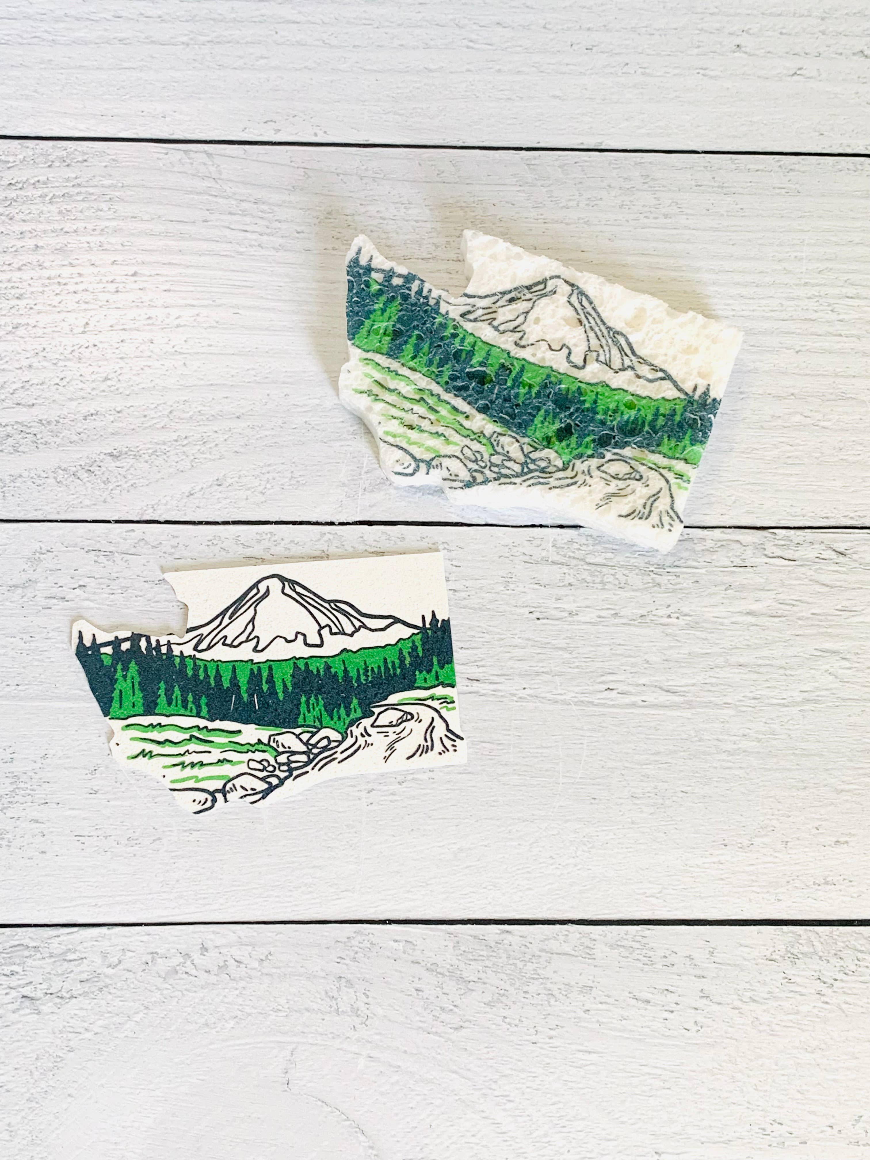 Corvidae drawings & designs - Wholesale Cleaning Sponge - Washington Shaped Compostable Pop Up Sponges - Set of 3 3