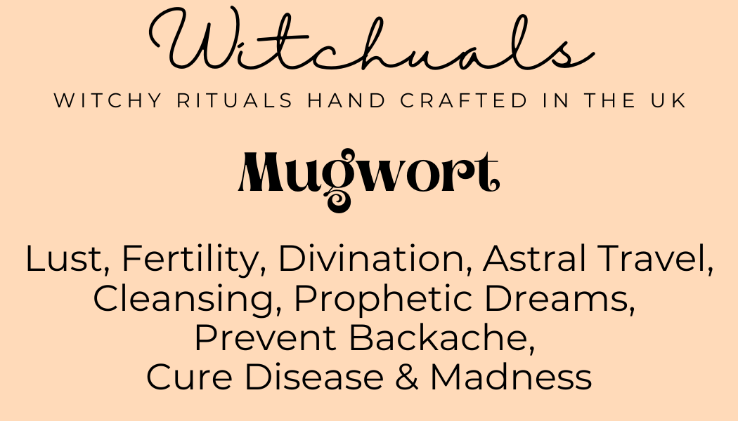 Witchuals - Rituals & Spellwork Apothecary - Wholesale Meditation Supplies - Mugwort3