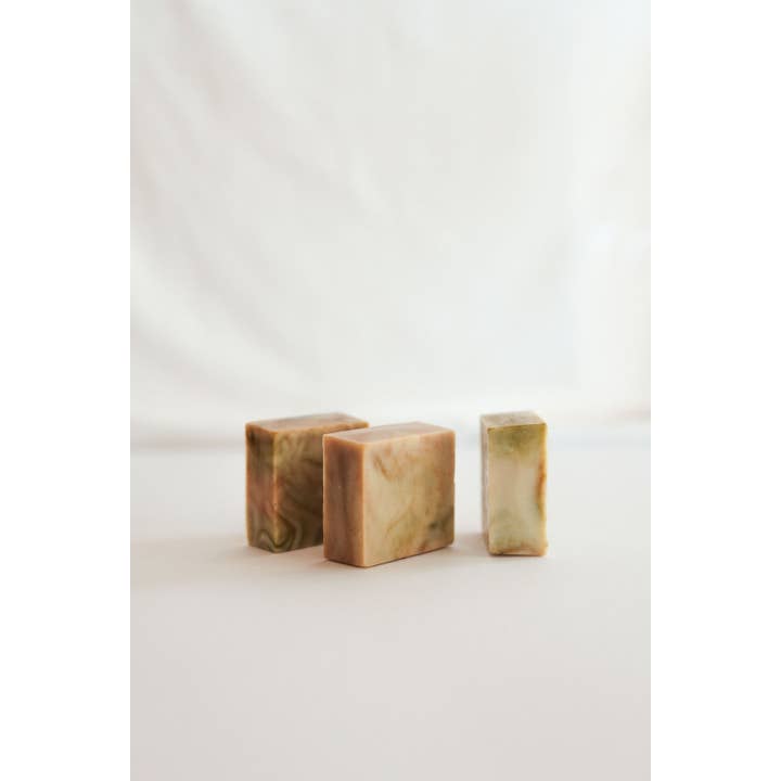 Milkweed and Moth - Wholesale Bar Soap - Spruce and Cedar3