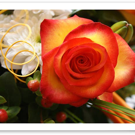 Hochzeitstag / Grußkarte / Rosen / 789001 für den Großhandel von Yabué