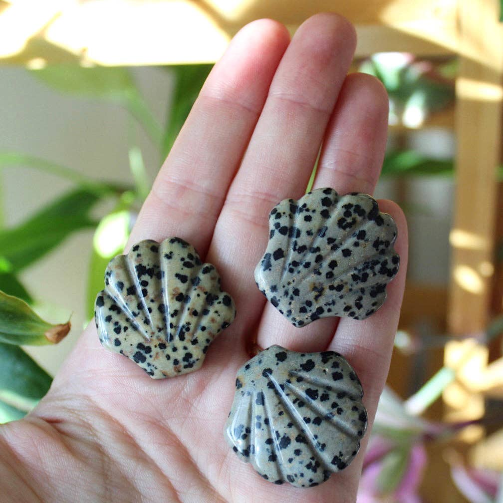 Pebble House - Wholesale Spiritual Stone/Crystal - Dalmatian Jasper Seashell Carving (Crystals & Stones)1