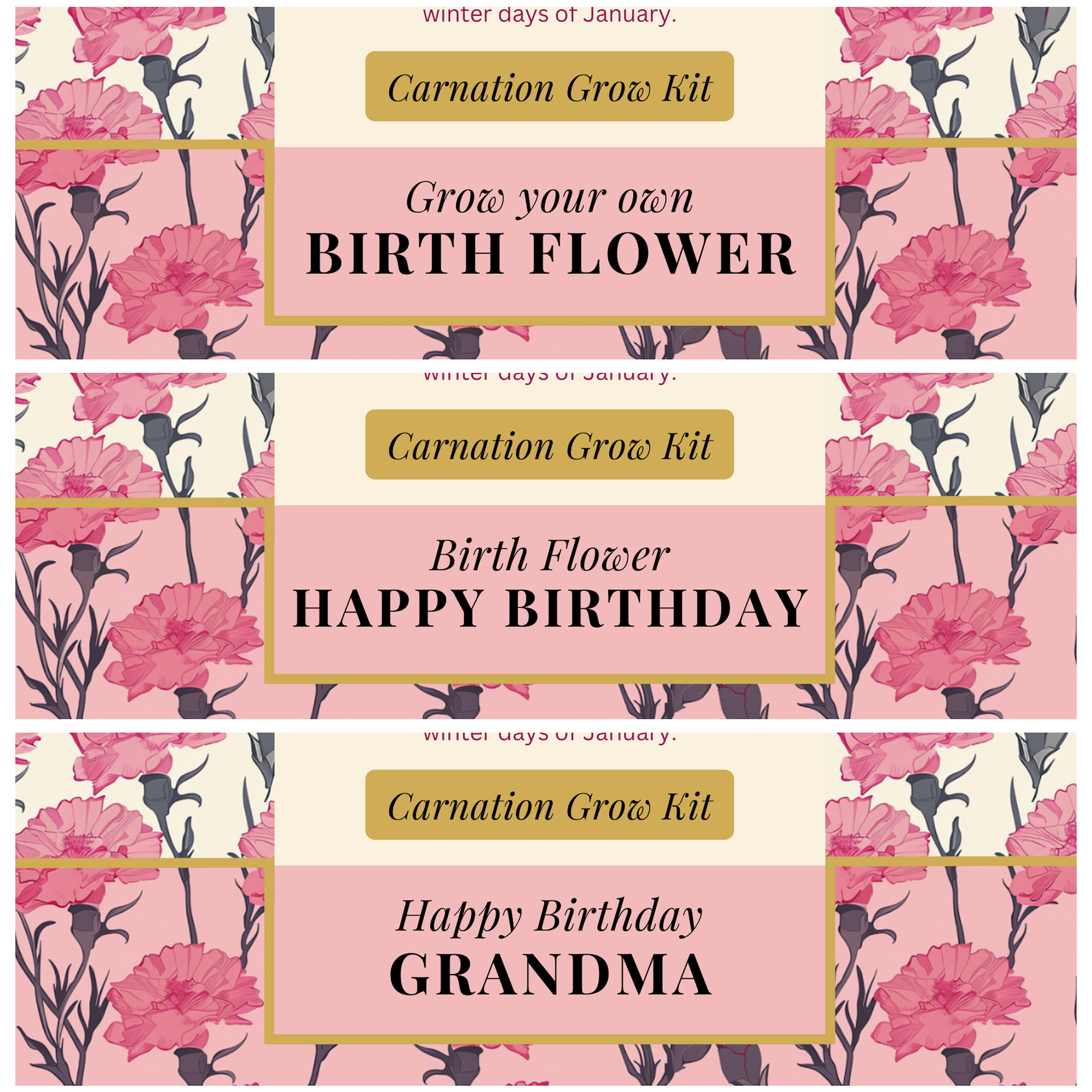Alphabet Gifts – wholesale Plant seeds – January Birth Flower - Personalised Grow Your Own Flower Gif1