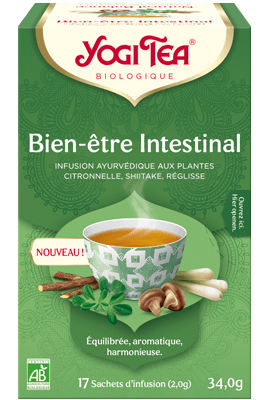 Ecohesens - Wholesale Health/Detox Tea - Intestinal well-being - Yogi Tea1