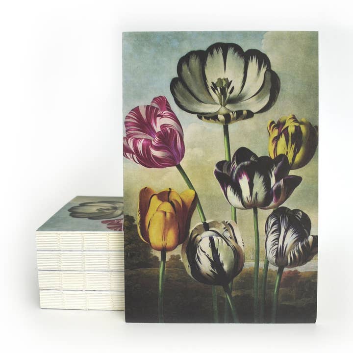 Carnet à reliure copte exposée avec tulipes botaniques vintage pour la vente par Curious Prints