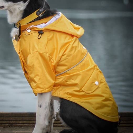 Dog a la mode – Capa de chuva para cão - Cão por atacado – Capa de chuva amarela 'Buddy' para cachorro9