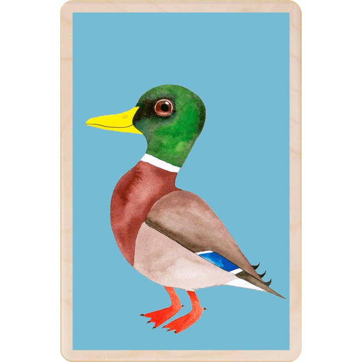 THE WOODEN POSTCARD COMPANY - Wholesale Everyday Greeting Card - MALLARD DUCK wooden postcard, wooden magnet