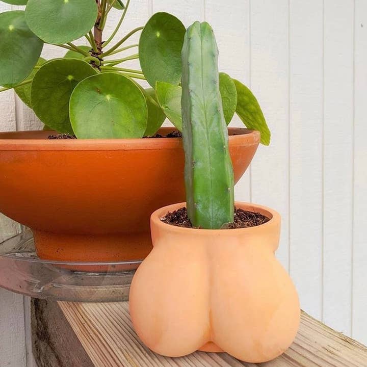 Cluster Folks - Vendita all'ingrosso Vasi per piante - Vaso in terracotta Terracoctus