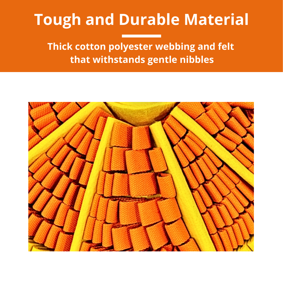 PawzNDogz – wholesale Pet food mat – Dog – Tangy Orange™ Snuffle Mat | Challenge Level 23
