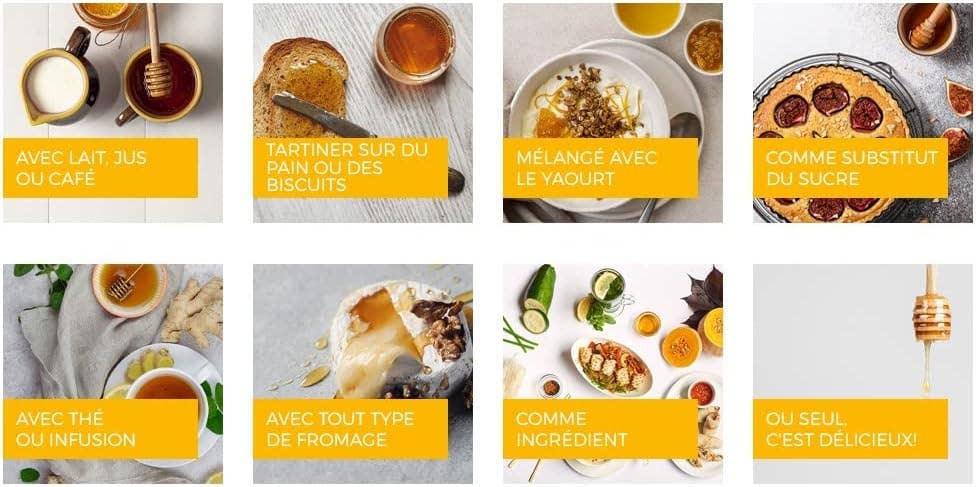 Zayti L.T.D.M - Wholesale Honey - PRECIOUS MELIPONA HONEY (ORGANIC): 300G JAR - SCAPTOTRIGONA1