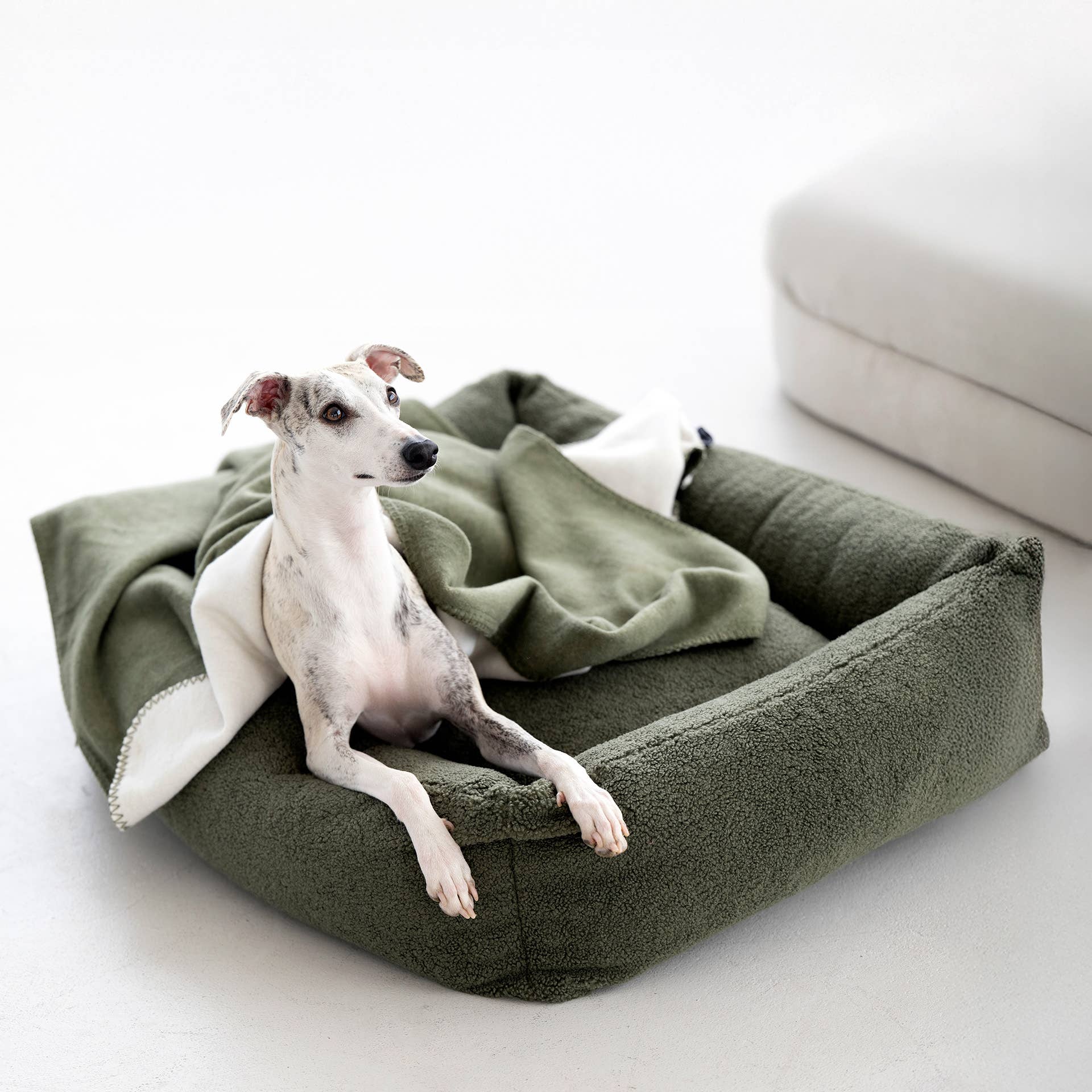 LABONI - Volentis GmbH - Vente Panier – chien - Lit classique pour animaux TEDDY12