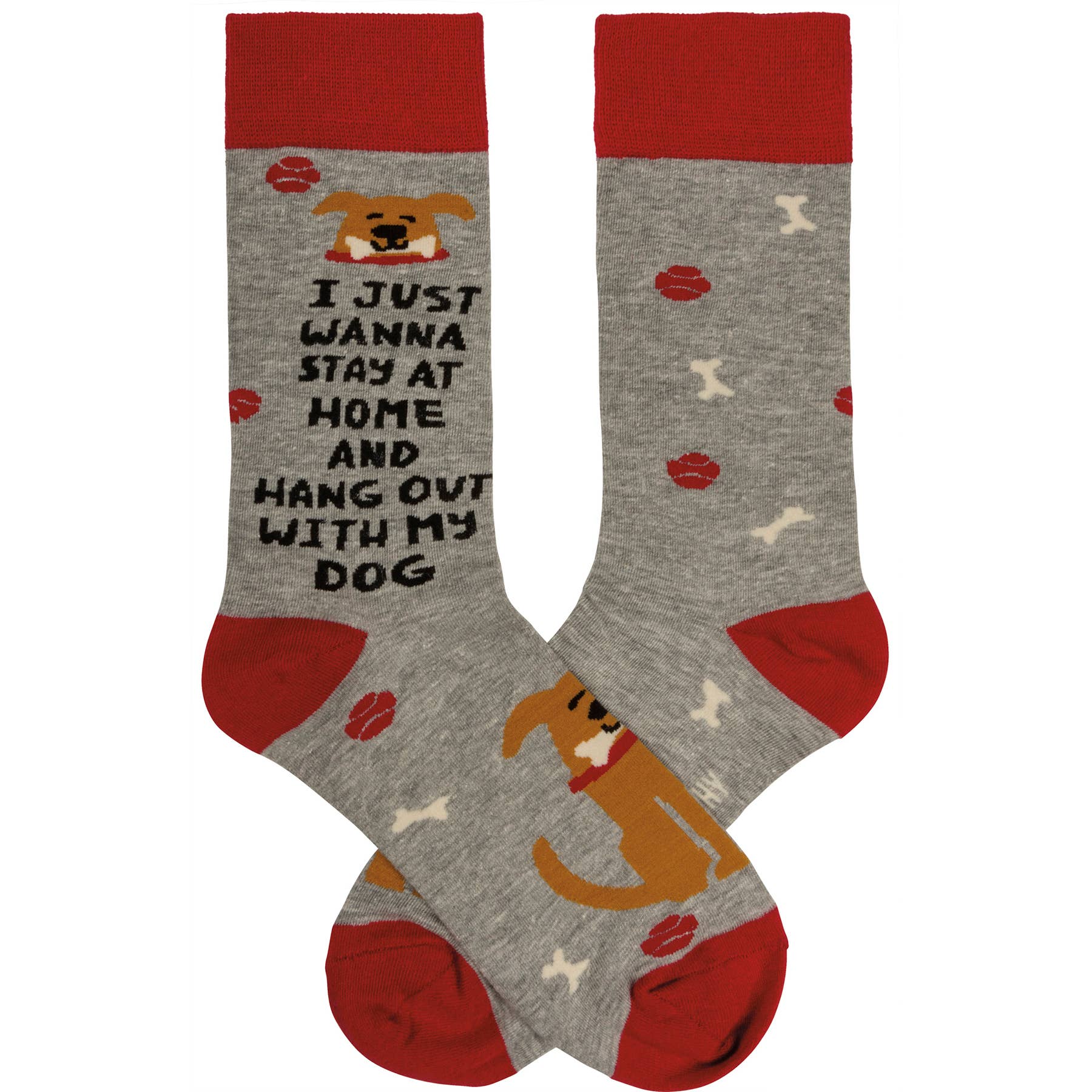 Primitives by Kathy - Wholesale Socks - Unisex - I Just Wanna Hang With My Dog Socks2