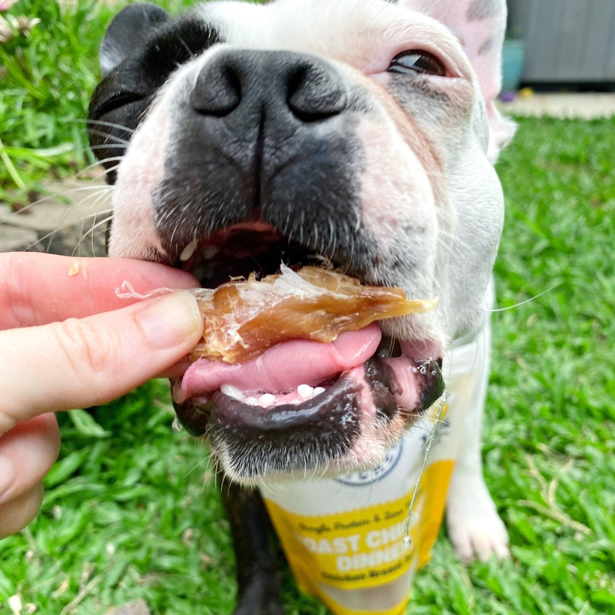 Rover Pet Products - Wholesale Pet Treats - Dog - Roast Chicken Dinner - Chicken Breast Jerky17