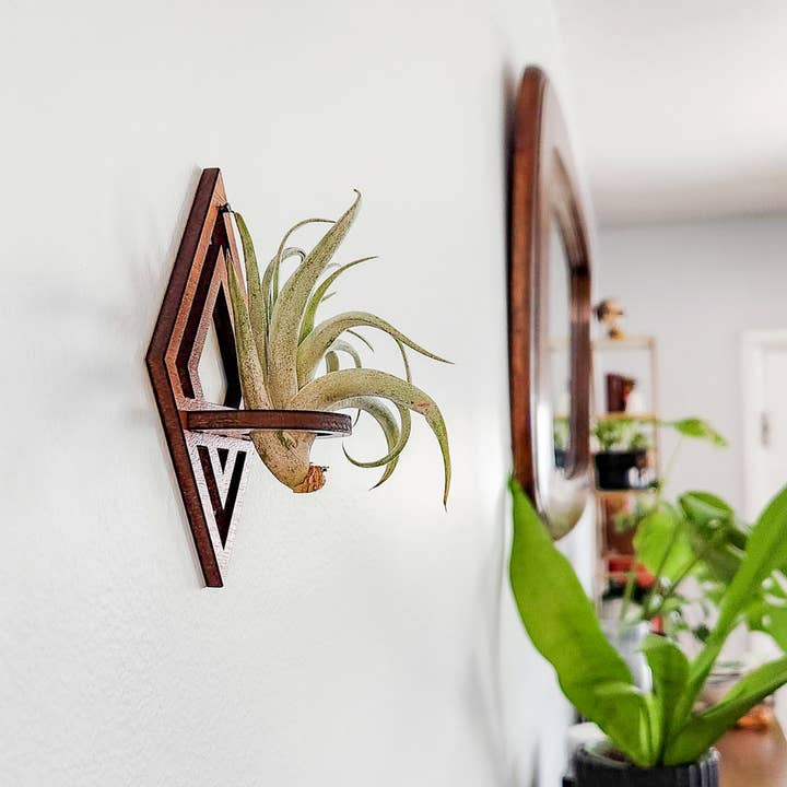 Leaf & Node - Wholesale Wall Planter - Air Plant Holder Display, Wall Hanging, Wood Diamond Design