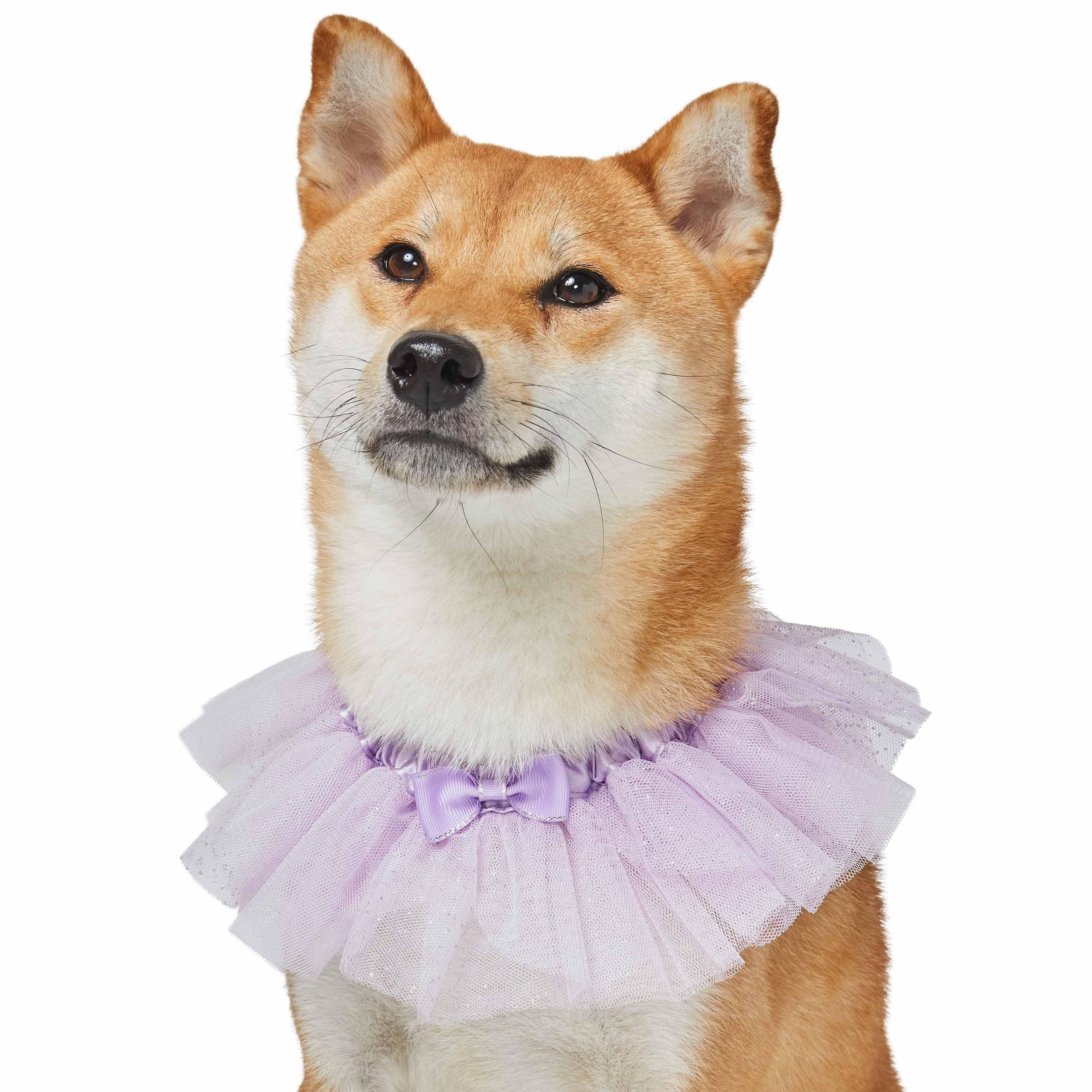 Blueberry Pet - Wholesale Pet Collar - Dog - Lace Dog Collar with Embroidered Mesh and Bowtie8