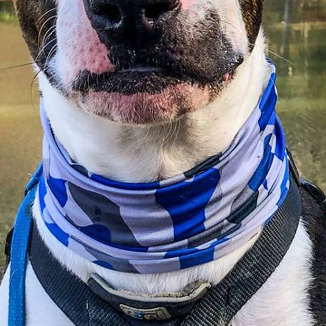 Knogle Camo Blå Pup Scruff for engroshandel hos Pup Scruffs