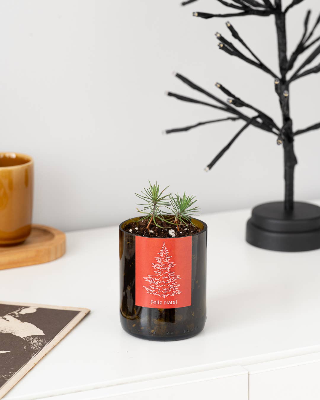 Life in a bag - Wholesale Plant Pot - Bottle Garden Merry Christmas1