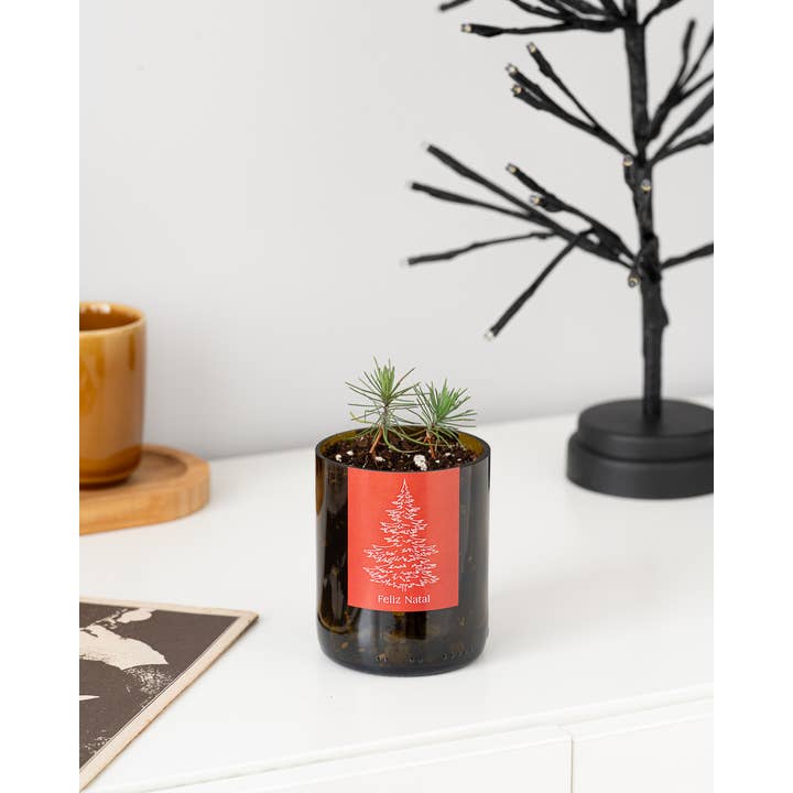 Life in a bag - Wholesale Plant Pot - Bottle Garden Merry Christmas1