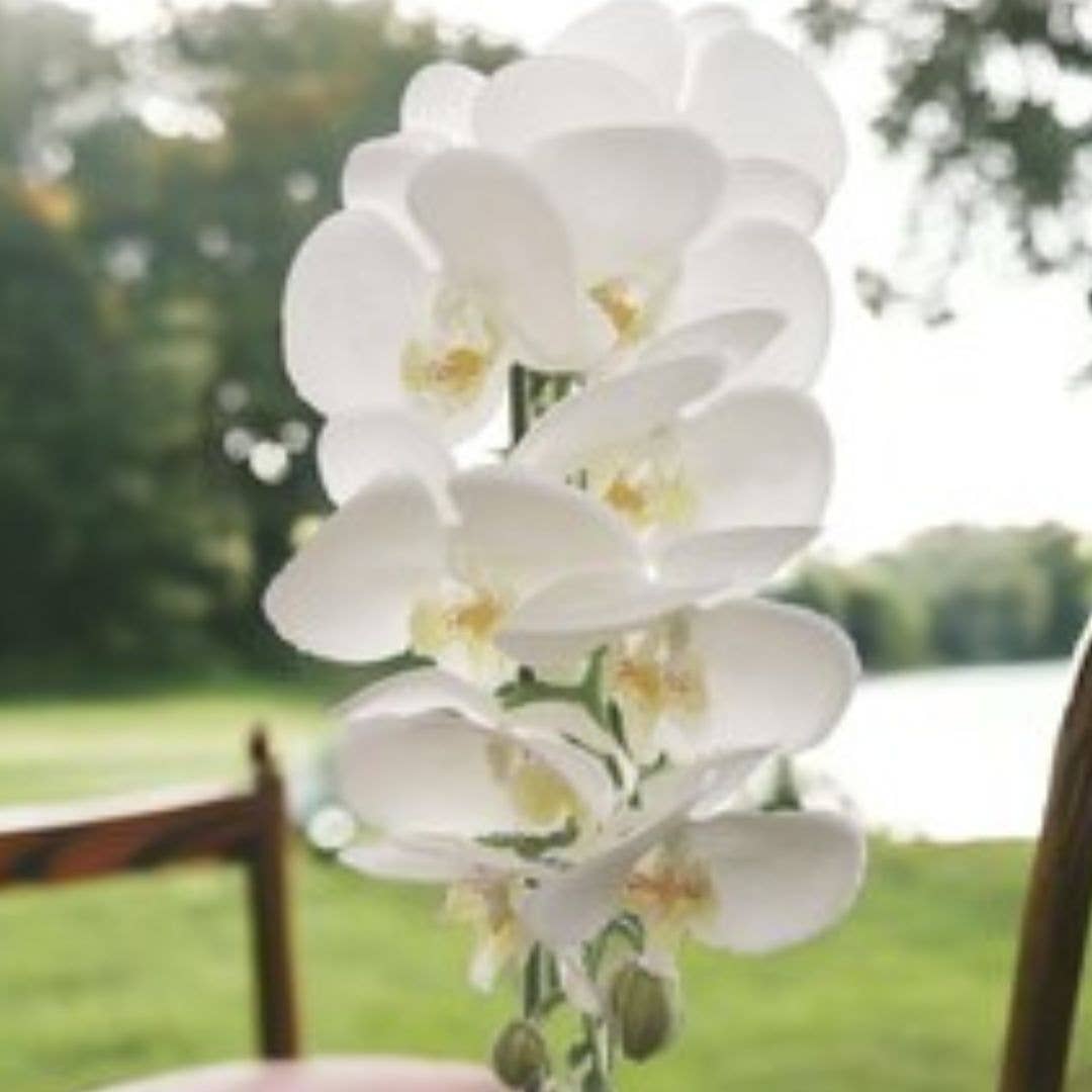 Larksilk - Wholesale Artificial Flowers - White Phalaenopsis Orchid Stem 41-Inch With 13 Silk Flowers0